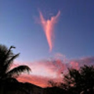 Meet your Posher, Jillian